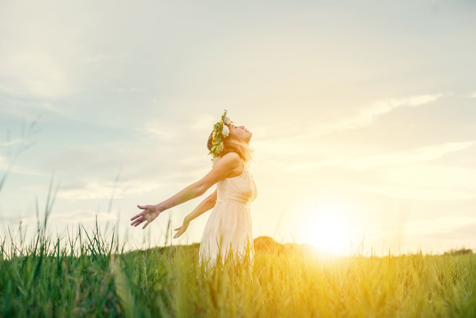 Golden sunlight through forest trees healing energy